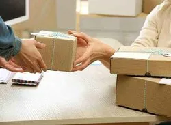  Service Provider of Domestic Courier Services New Delhi Delhi 