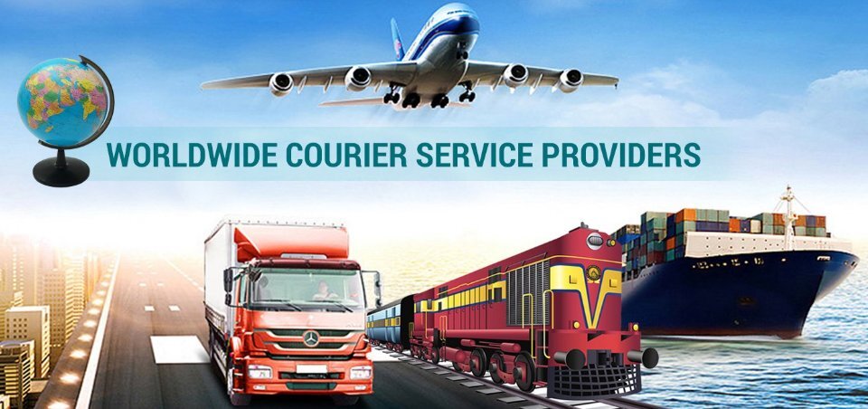  Service Provider of International Courier Services New Delhi Delhi 